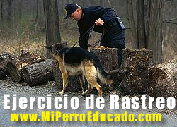 ejercicio de rastreo Ejercicio de Rastreo