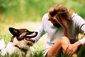 Educar A Un Perro Con Pocas Palabras Educar A Un Perro Con Pocas Palabras