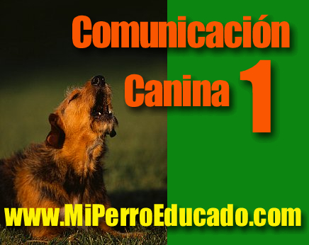 Comunicación Canina 1