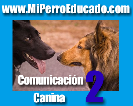 Comunicación Canina 2