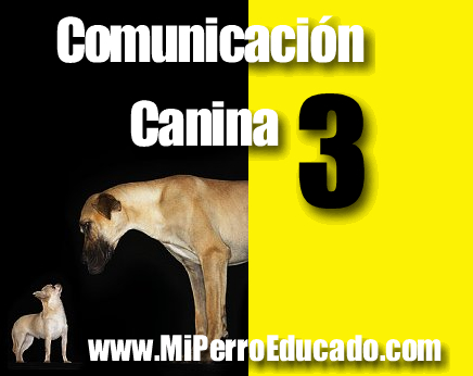 Comunicación Canina 3