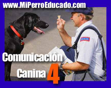 Comunicación Canina 4