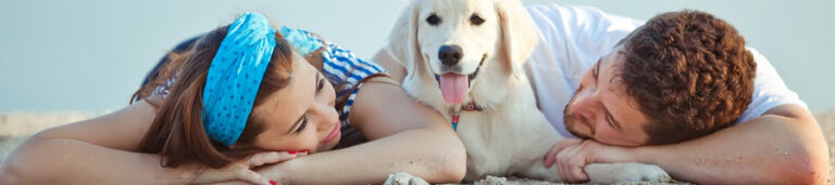 Centro Educativo Canino Mi Perro Educado