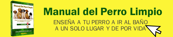 Enseñar_al_perro_a_ir_al_baño