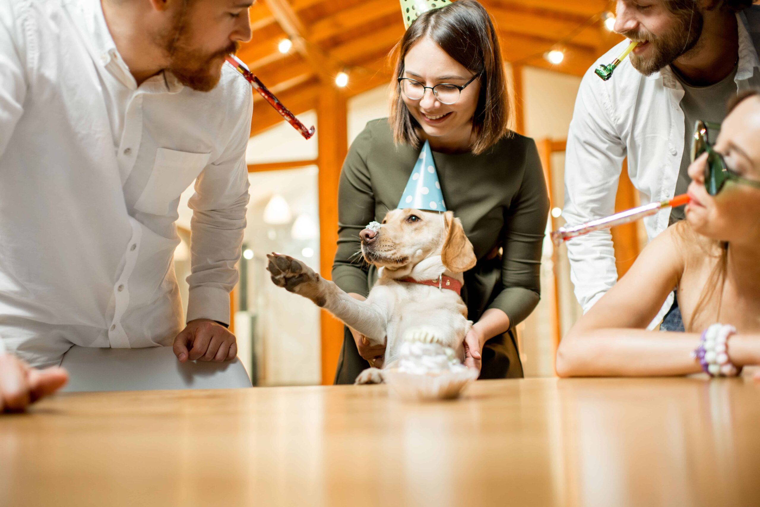 El Secreto de los Perros Bien Educados: Lo que Hacen Diferente los Dueños Expertos